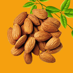 Almond-Nut